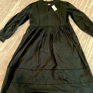 NWOT JCrew Long Sleeve Dress